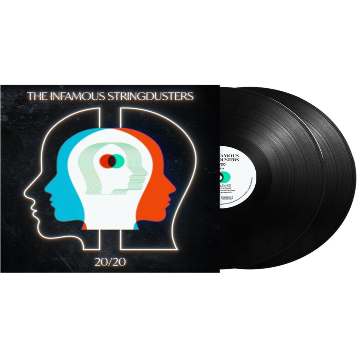 20/20 (2LP)