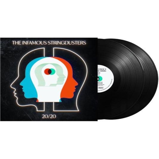 20/20 (2LP)